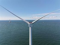 El Congreso exige al Gobierno aplazar el plan de energía renovable en el mar hasta que se analicen todos sus impactos