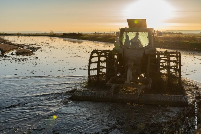 La Comisión Europea concede ayudas a los productores de frutas, hortalizas y vino de Valencia afectados por la dana