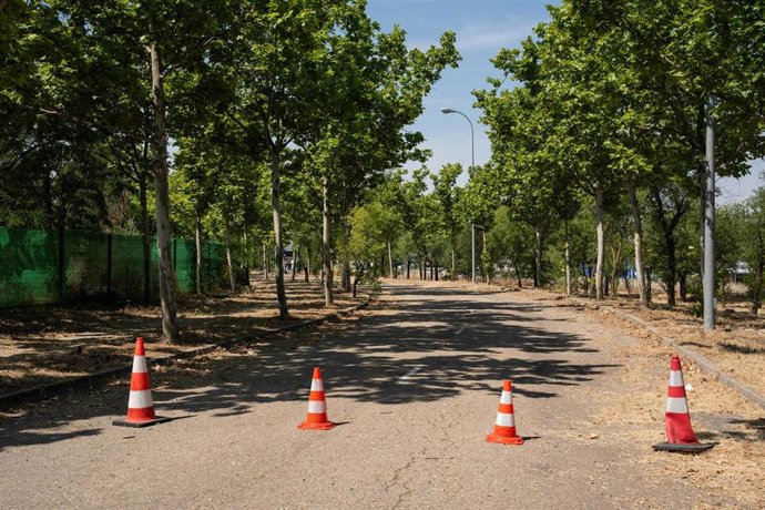 Archivo - Conos situados cerca de las instalaciones donde se está llevando a cabo la obra en el polígono de La Cantueña