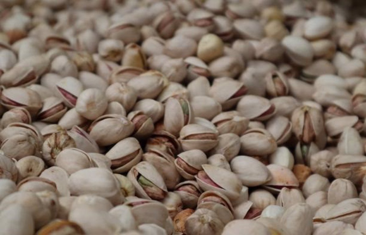 La patronal y los productores de pistacho pondrán en marcha la Lonja del Pistacho de C-LM en julio