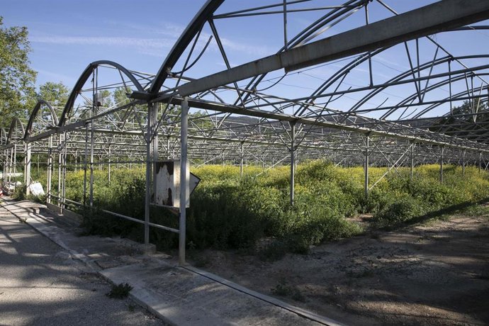 Huertas de Casa Soto (Etxezuria) en el parque de Aranzadi.