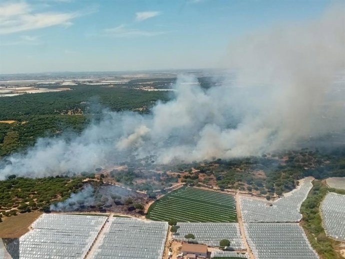 Incendio declarado en paraje Cruz del Arpa de Moguer (Huelva).