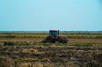 Desarrollo Rural aplica excepciones en la PAC para responder al impacto que las lluvias han tenido en la agricultura