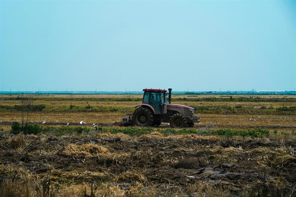 Un tractor labrando.