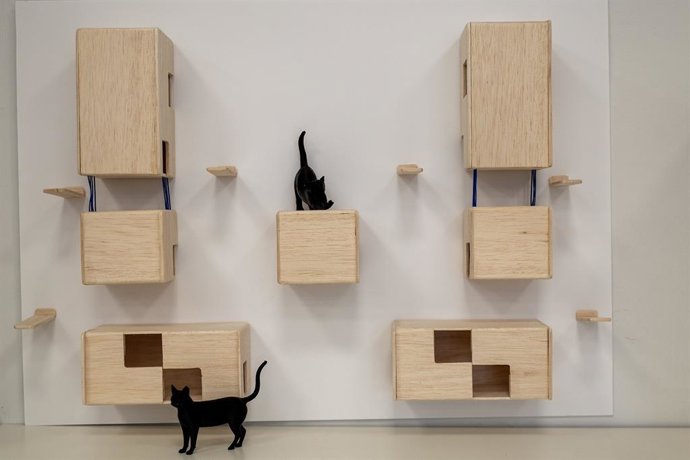 Presentació de projectes de refugis per a gats de colònies urbanes en la CEU UCH: