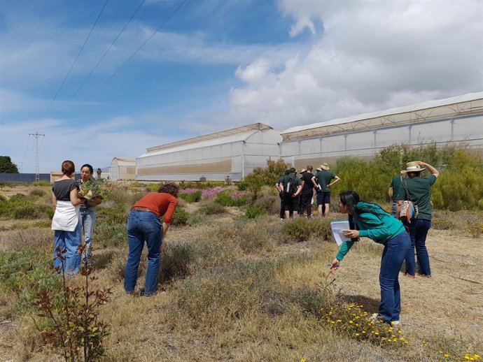 Participantes en una actividad de campo en La Mojonera (Almería) sobre biodiversidad agrícola y reciclaje de residuos en invernadero, en el marco de las acciones del Ifapa.