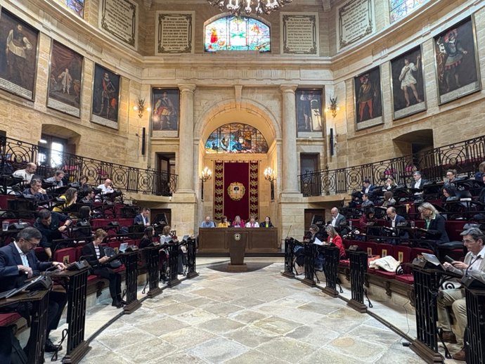 Archivo - Pleno de las Juntas Generales de Bizkaia