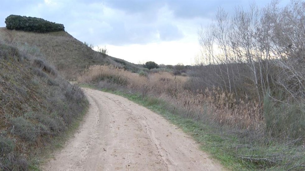 Archivo - Paraje de Carranque (Toledo) donde podrían estar los restos mortales de Heidy Paz, la joven asesinada en agosto de 2018 por César Román, conocido como 'El Rey del Cachopo'.