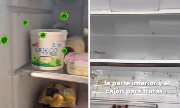 Mariana Zapién, engenheira de alimentos: "As bactérias podem sobreviver na sua geladeira".