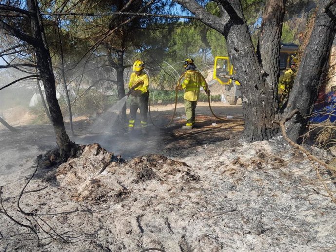 Efectivos del Infoca en el incendio forestal declarado en la tarde de este martes en el paraje Cruz del Arpa de Moguer (Huelva).