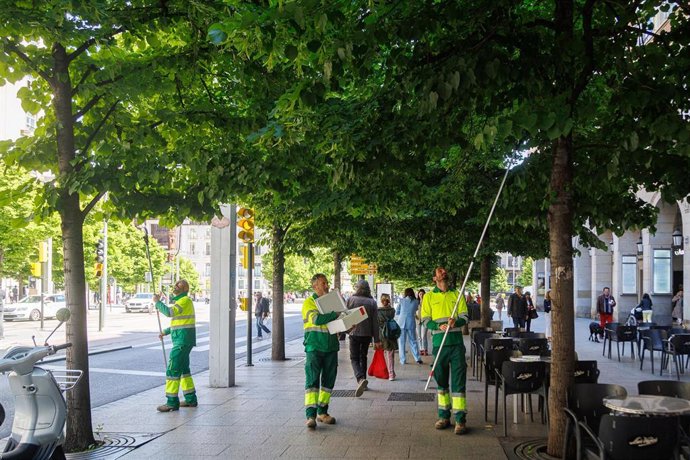 El Ayuntamiento de Zaragoza suelta 200.000 insectos beneficiosos para luchar contra plagas en parques y jardines