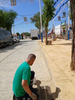 Actuaciones para prevenir la aparición del Virus del Nilo en el recinto ferial de Alcalá de Guadaíra.