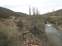 Investigan cómo la flora es capaz de sobrevivir en suelos mineros contaminados de Palencia
