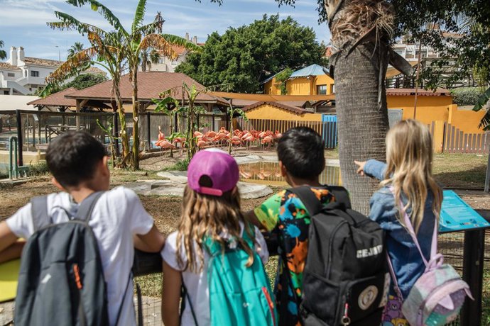 Archivo - Abierta la inscripción a los campamentos estivales en los Selwos, para público infantil y juvenil