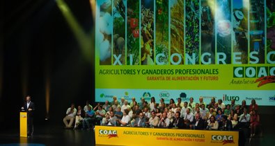 Es Andalucía - Sevilla