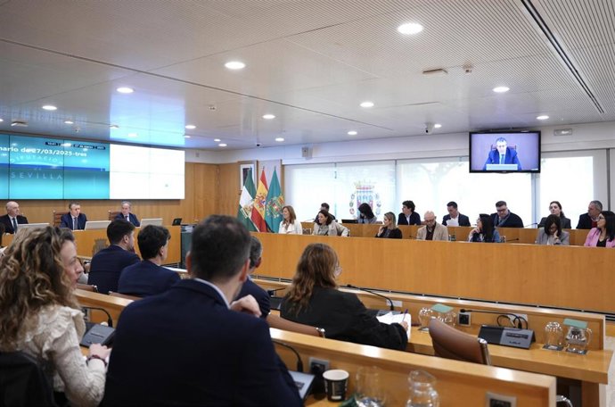 Archivo - Imagen de archivo del pleno de la Diputación de Sevilla