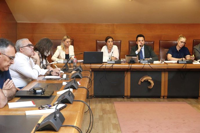La consejera de Inclusión Social, Begoña Gómez del Río, presenta en comisión parlamentaria la Estrategia de Accesibilidad Universal