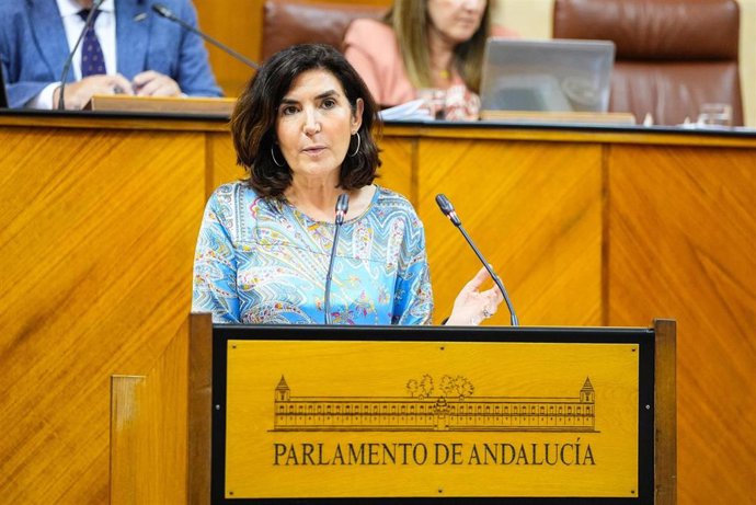 La consejera de Empleo, Rocío Blanco, este miércoles en el Pleno del Parlamento.