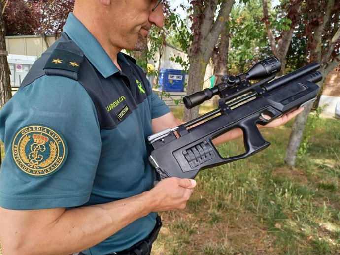 Imagen del arma intervenida en Viana de Cega (Valladolid)