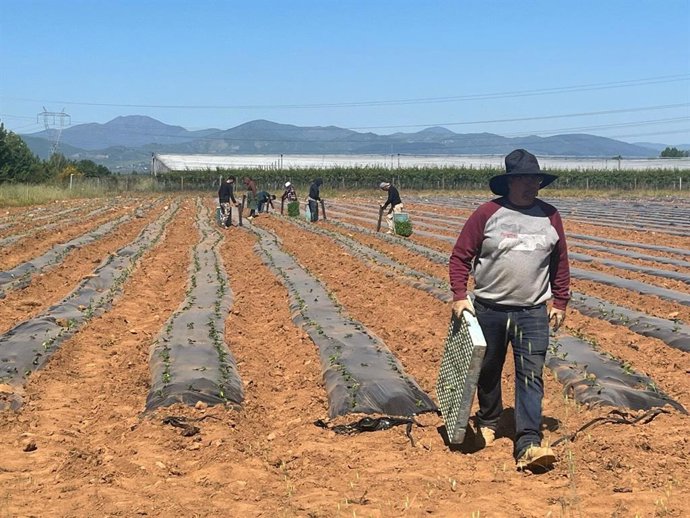 La Diputación aumenta hasta los 108.000 euros la dotación anual para el Banco de Tierras del Consejo Comarcal del Bierzo.