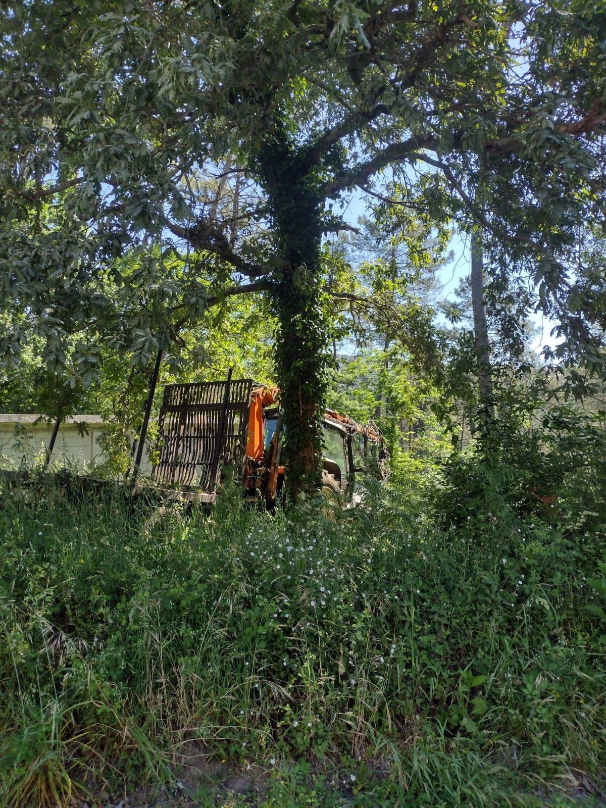 Fallece un operario en Outes (A Coruña) tras caerle encima el árbol que talaba