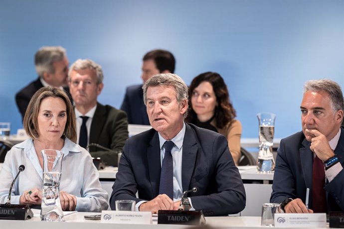 El president del PP, Alberto Núñez Feijóo