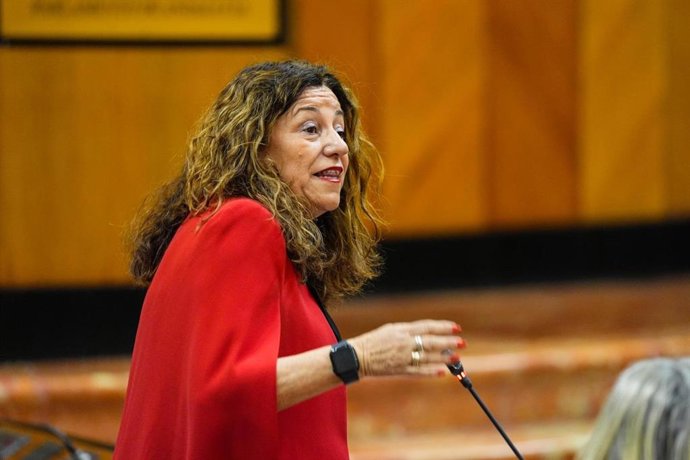 La consejera de Desarrollo Educativo y Formación Profesional, María del Carmen del Castillo, en el Parlamento