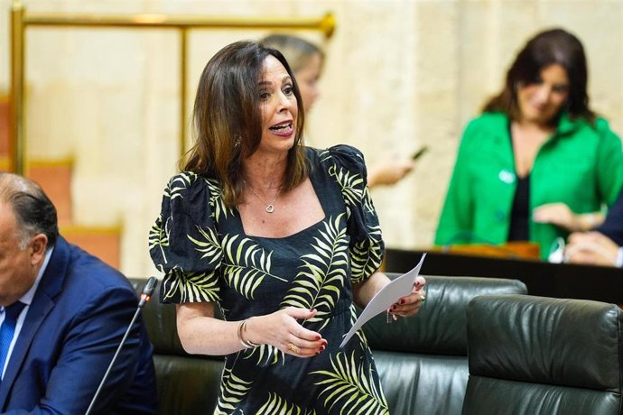 La consejera de Fomento, Articulación del Territorio y Vivienda, Rocía Díaz, en Pleno del Parlamento.