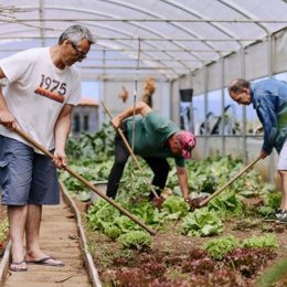 Uno de los proyectos del tercer sector financiado por la Fundación 'la Caixa'.