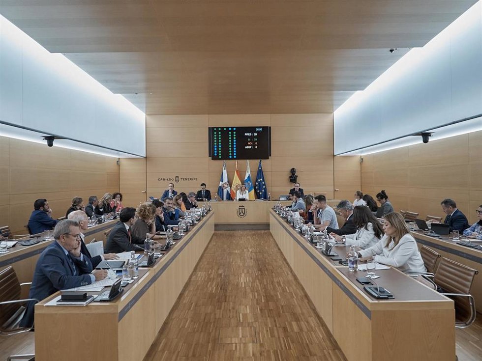 Pleno del Cabildo de Tenerife 