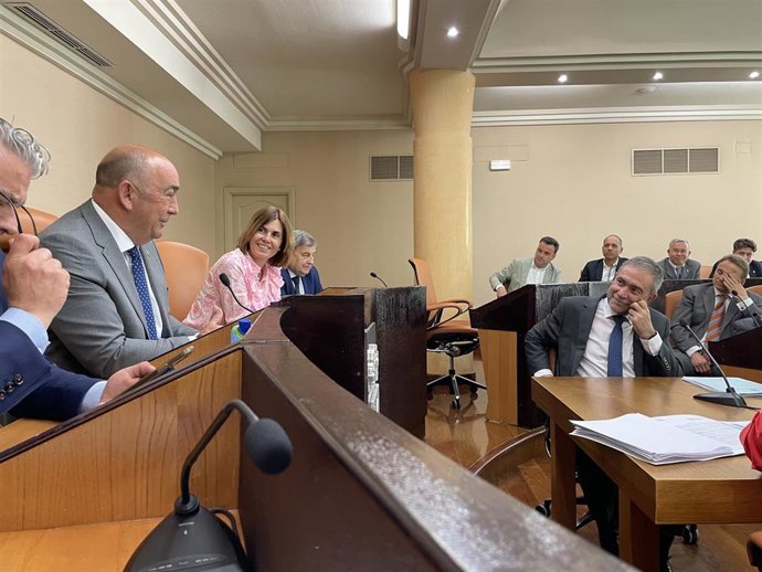 El presidente de la DIputación preside el pleno de mayo.