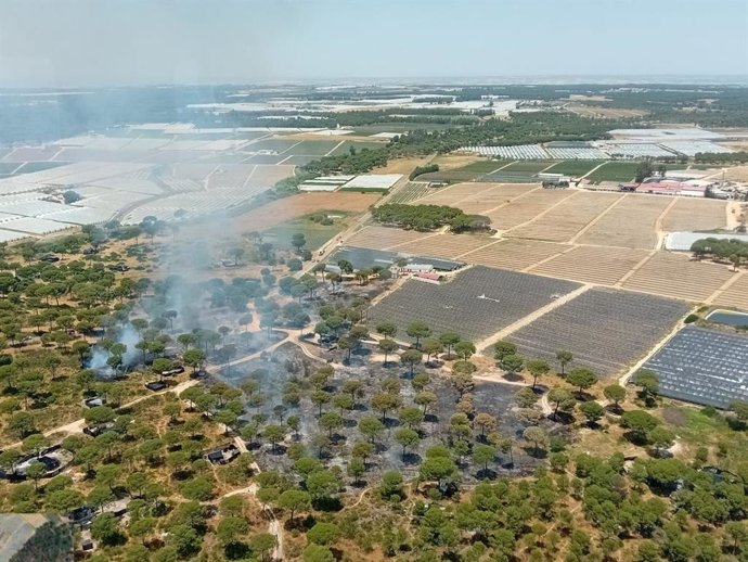 Incendio declarado en el paraje El Pilonar de Lucena del Puerto (Huelva).