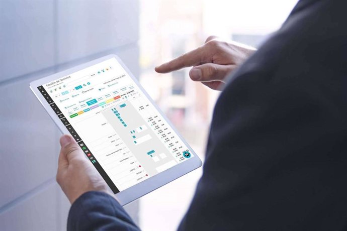ecoSoftWEB; el programa de gestión empresarial