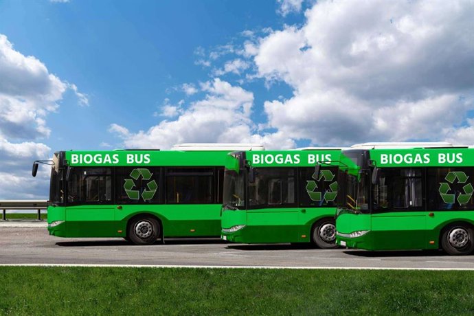 Transformación verde; así avanzan los autocares hacia la sostenibilidad con GLP/GNC