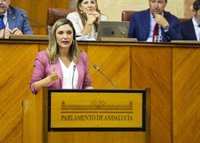 PP-A rechaza en solitario crear una comisión de investigación parlamentaria sobre los contratos del SAS