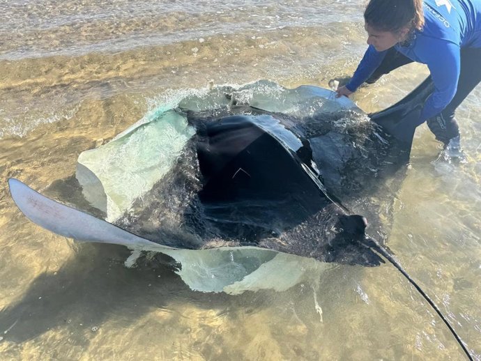Una técnico de la Fundación con una raya