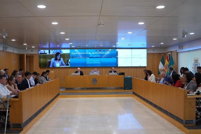 Pleno ordinario en la Diputación de Sevilla.