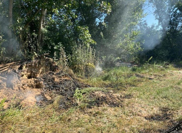 Incendio en pelusas de polen de chopo en INEA, Valladolid.