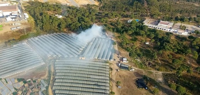 Nuevo incendio en Moguer.