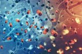 Foto: Por qué algunas células son más susceptibles al cáncer