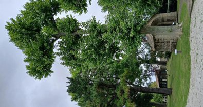 Cantabria Cultura y Deportes