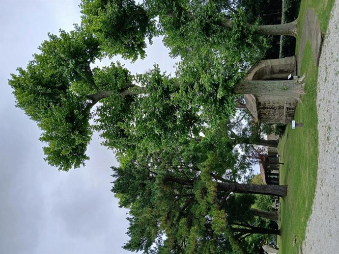 Jardín del Museo Etnográfico de Cantabria