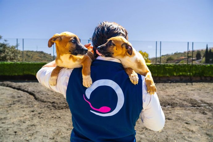 La UE solo prohíben la clonación para uso alimenticio