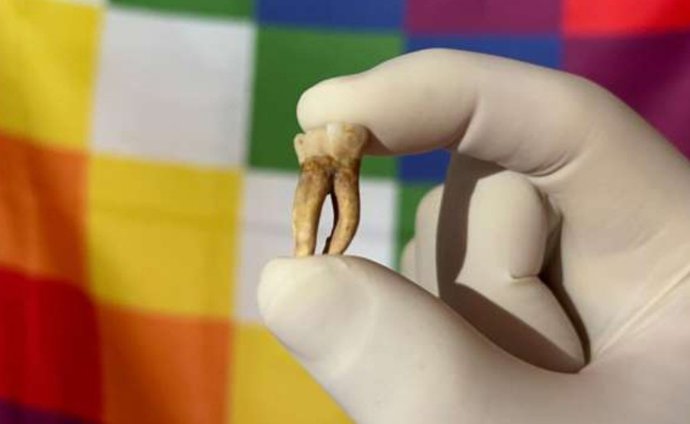 A partir desse tipo de amostra, técnicas antigas de DNA permitem a reconstrução de genomas humanos e patógenos do passado. No verso, uma bandeira wiphala representando as comunidades indígenas da América do Sul.