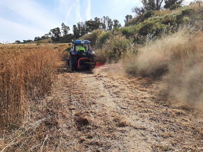 Desbroce de maleza en las Laderas del Conquero.