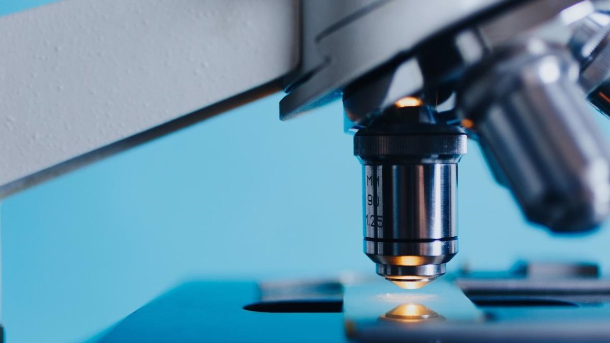 Ciencia financiará con 23 millones 123 proyectos españoles de colaboración internacional