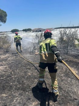 Bomberos del Consorcio Provincial trabajan en la zona del primer incendio declarado en Moguer el pasado lunes.