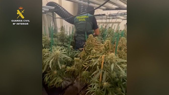 Un agente durante el registro de la plantación de marihuana localizada en una vivienda de Aguadulce, en Roquetas de Mar (Almería).