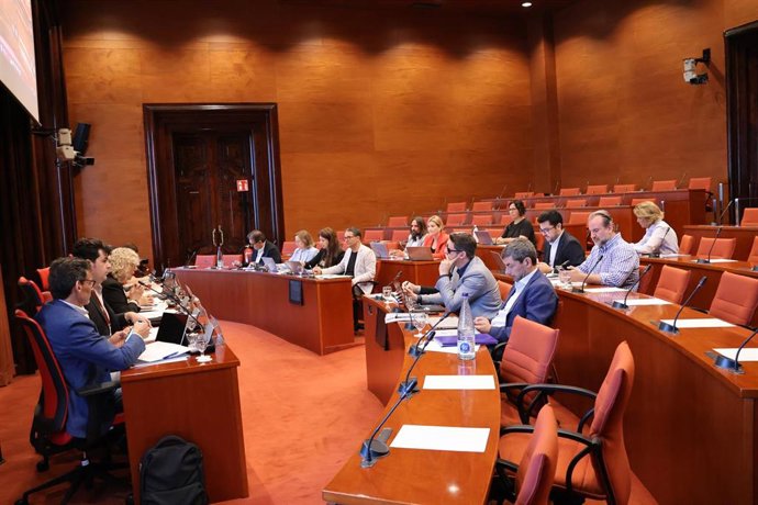 Comisión de control de la CCMA