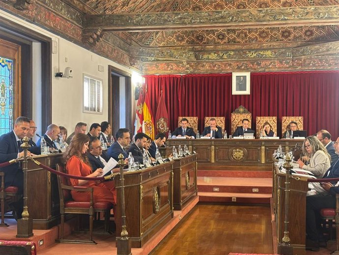 Pleno de la Diputación mayo 2025